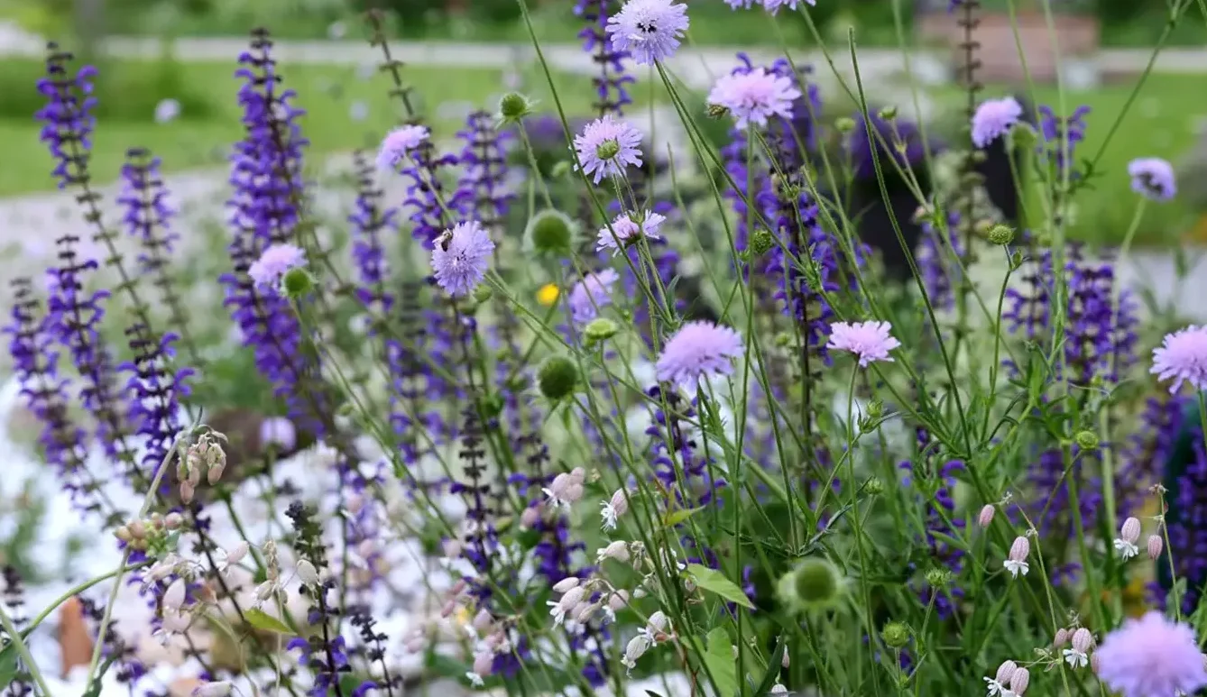 Was tun bei einer Panikattacke? Soforthilfe